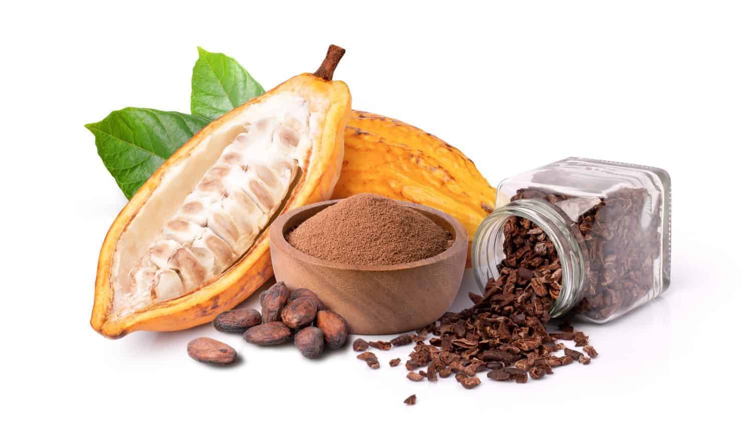Cacao Wine (Modern Recreation: Theobroma)