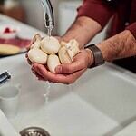 How to Prevent Salmonella