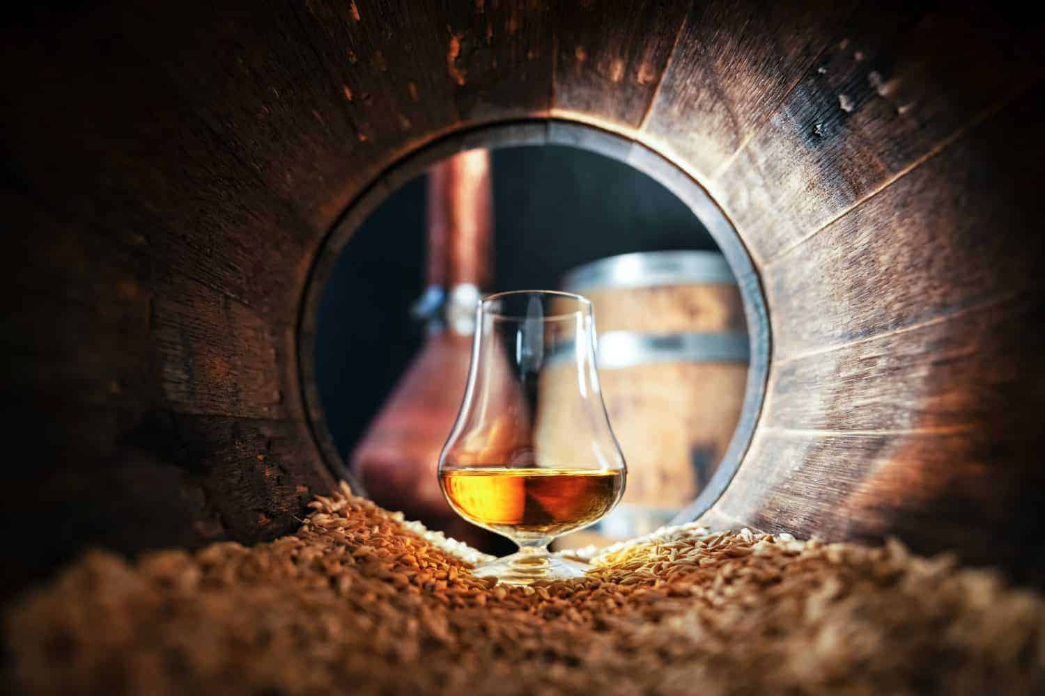 How Long Have Humans Been Brewing Alcohol?