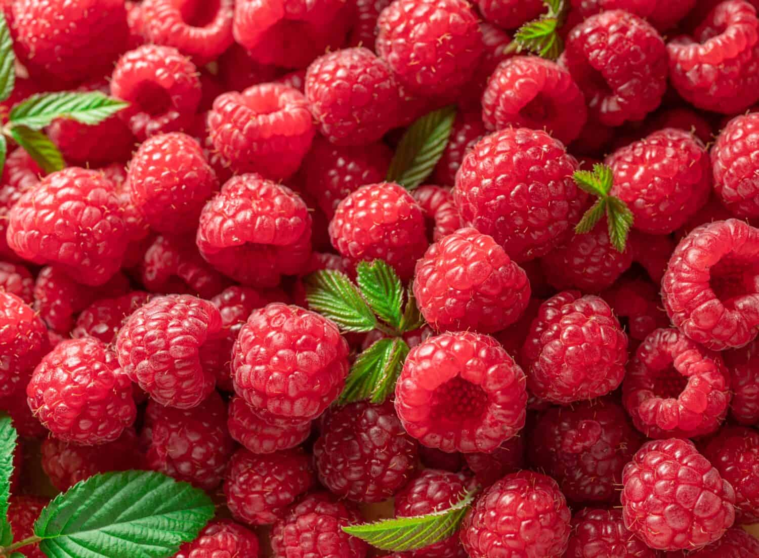 Raspberries