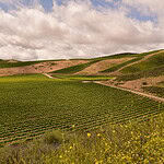 You Can Buy a Home in This Beautiful Wine Region for Less Than $120K