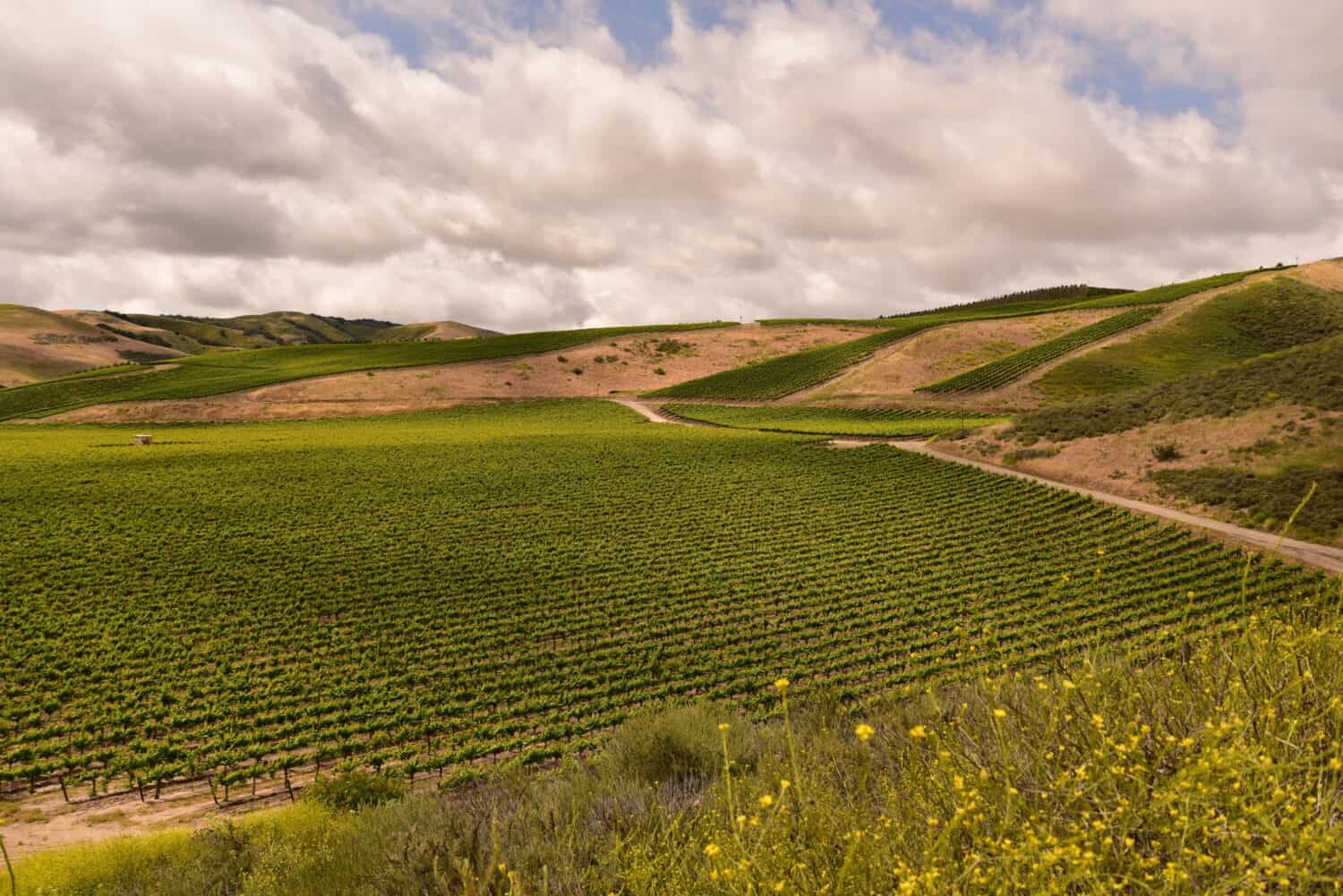 You Can Buy a Home in This Beautiful Wine Region for Less Than $120K