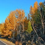 28. Cornelius, OR