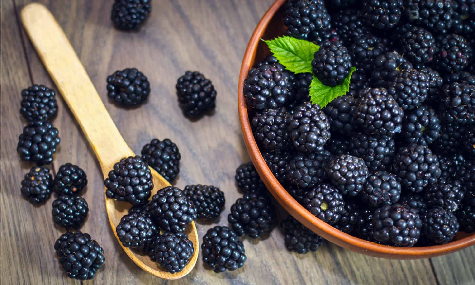 Blackberries