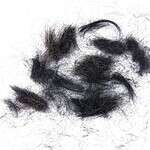 Hair