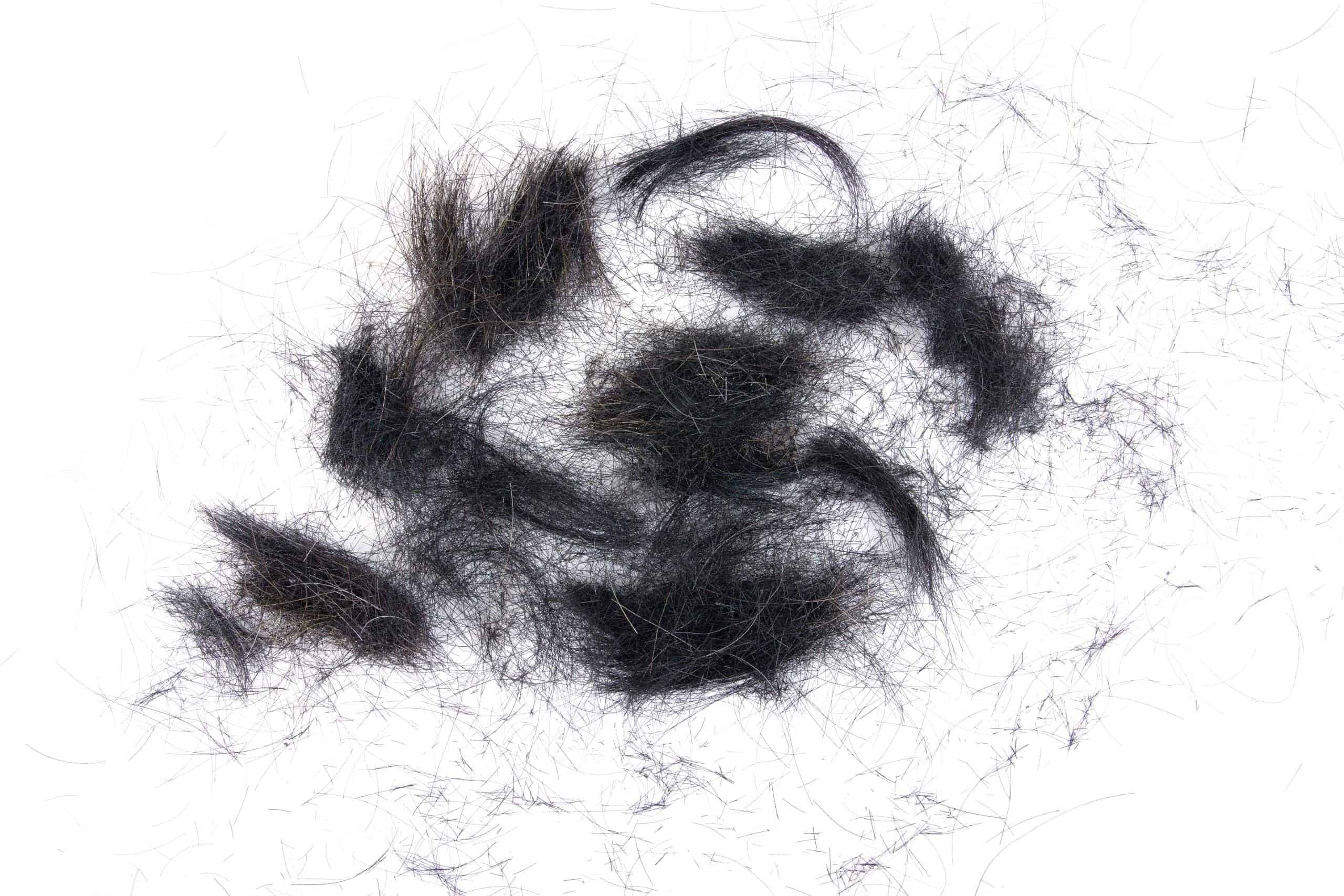 Hair