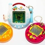 Answer 9: Virtual Pet Sitting