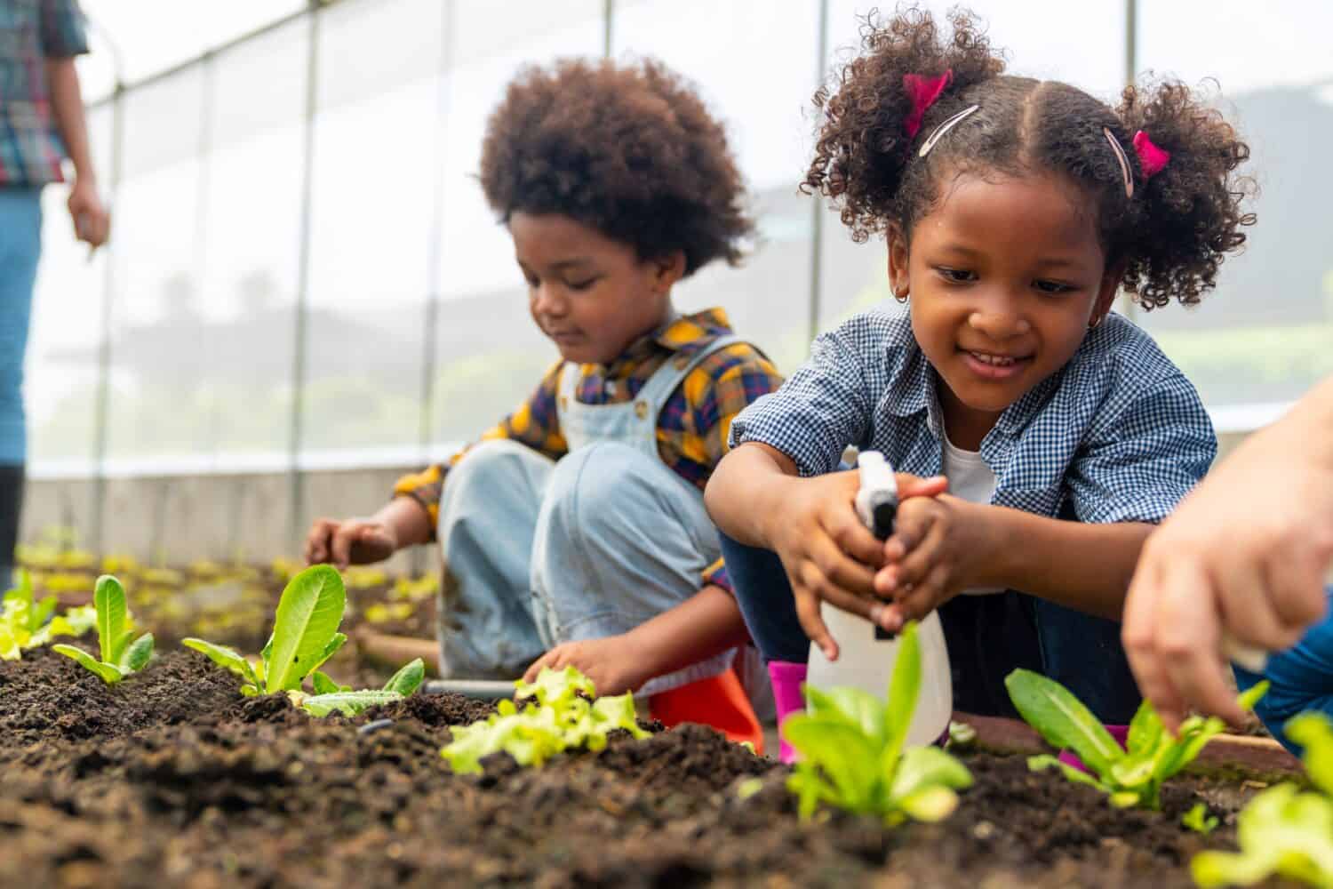 Happy African farmer family on agriculture farm growing organic vegetable together in greenhouse garden. Parents and little child kid working nature and gardening healthy food for sustainable living.