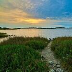 Tierra Verde, FL