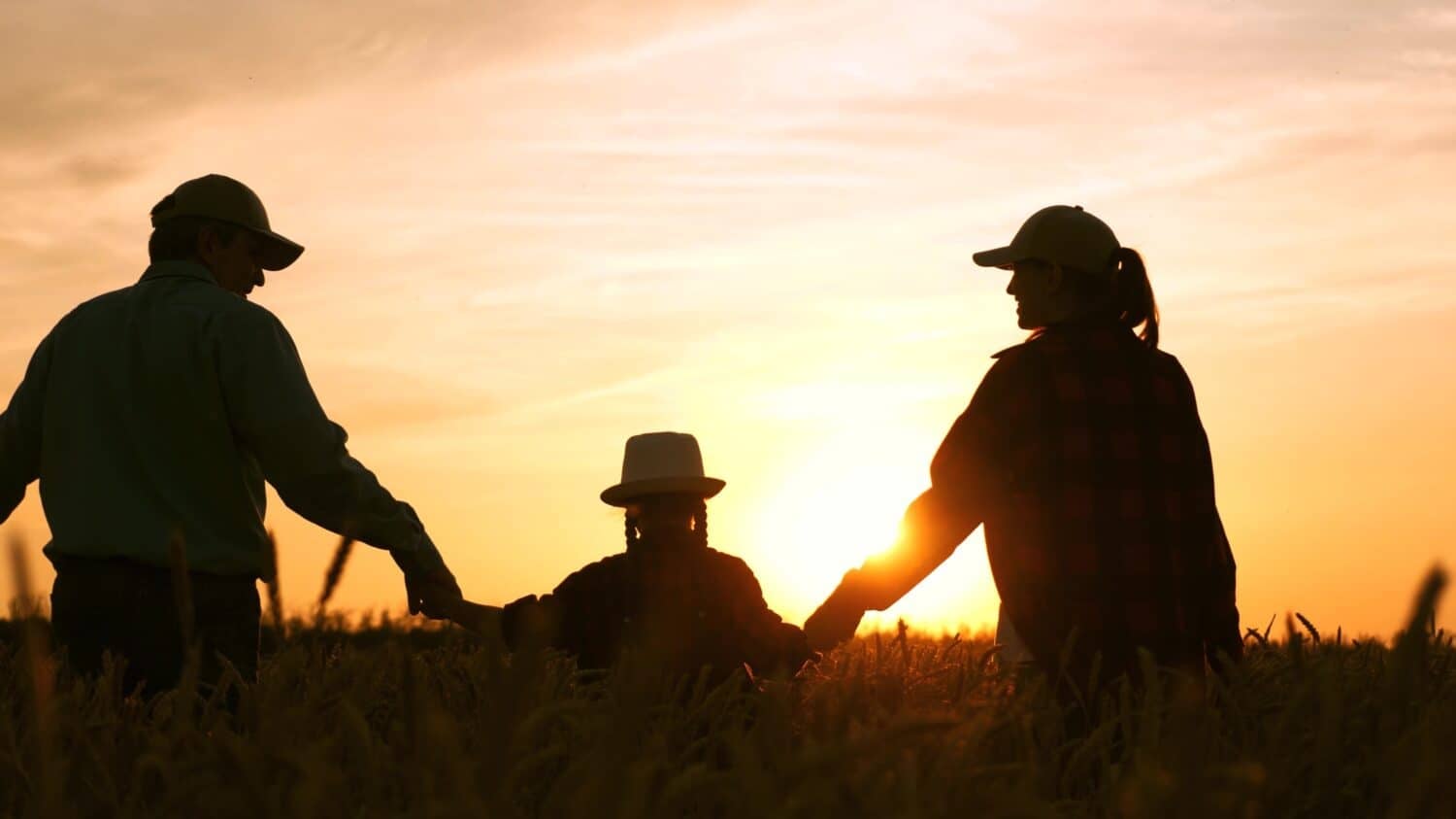Happy family. Women men child, holding hands, walk through fields wheat sunset. Mother father child daughter hand hand, go to wheat field sunset. happy family outings. silhouette happy family. girl