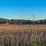 Tennessee: Cocke County