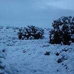 Arizona: Apache County