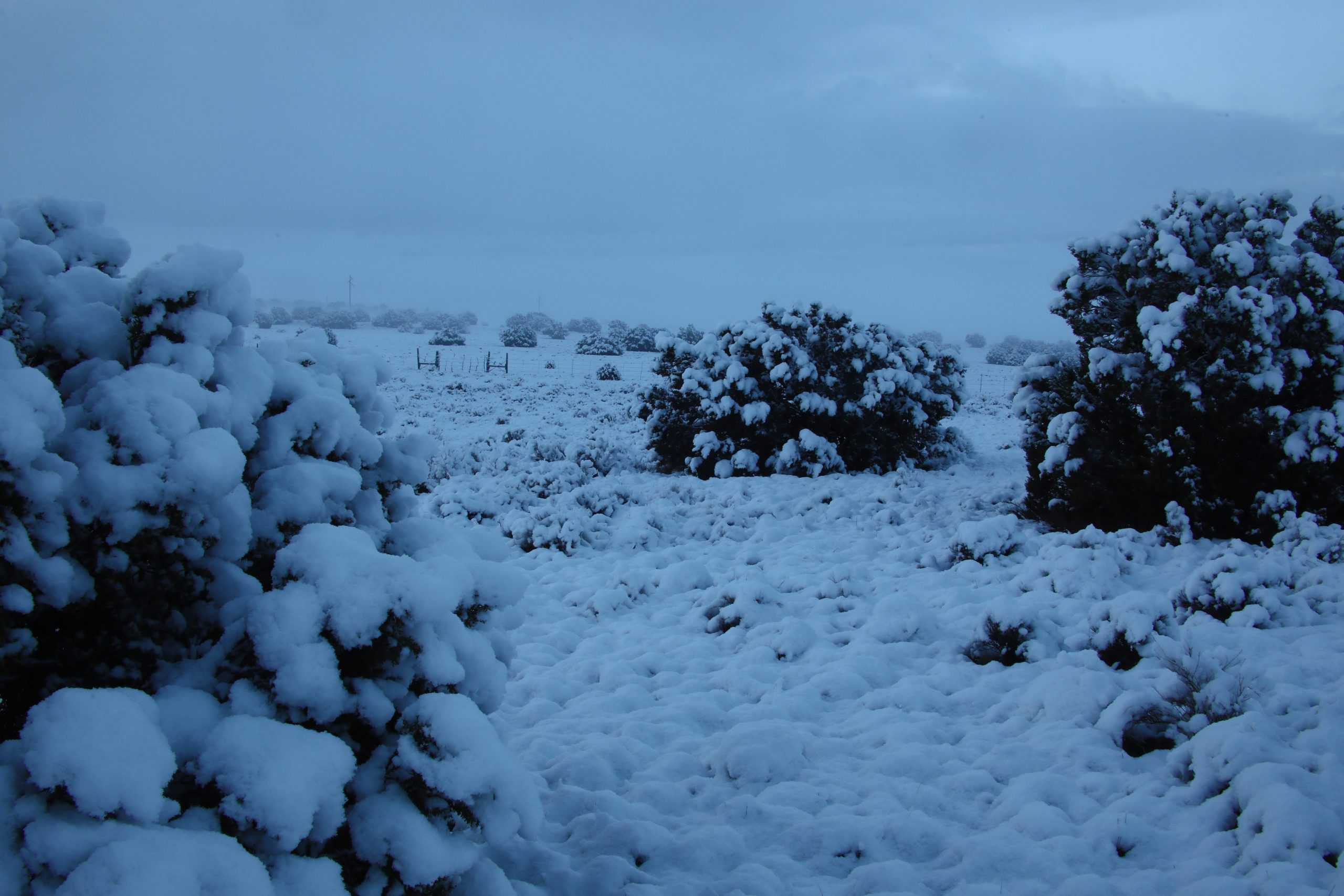Arizona: Apache County