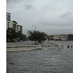 12. Hurricane Idalia