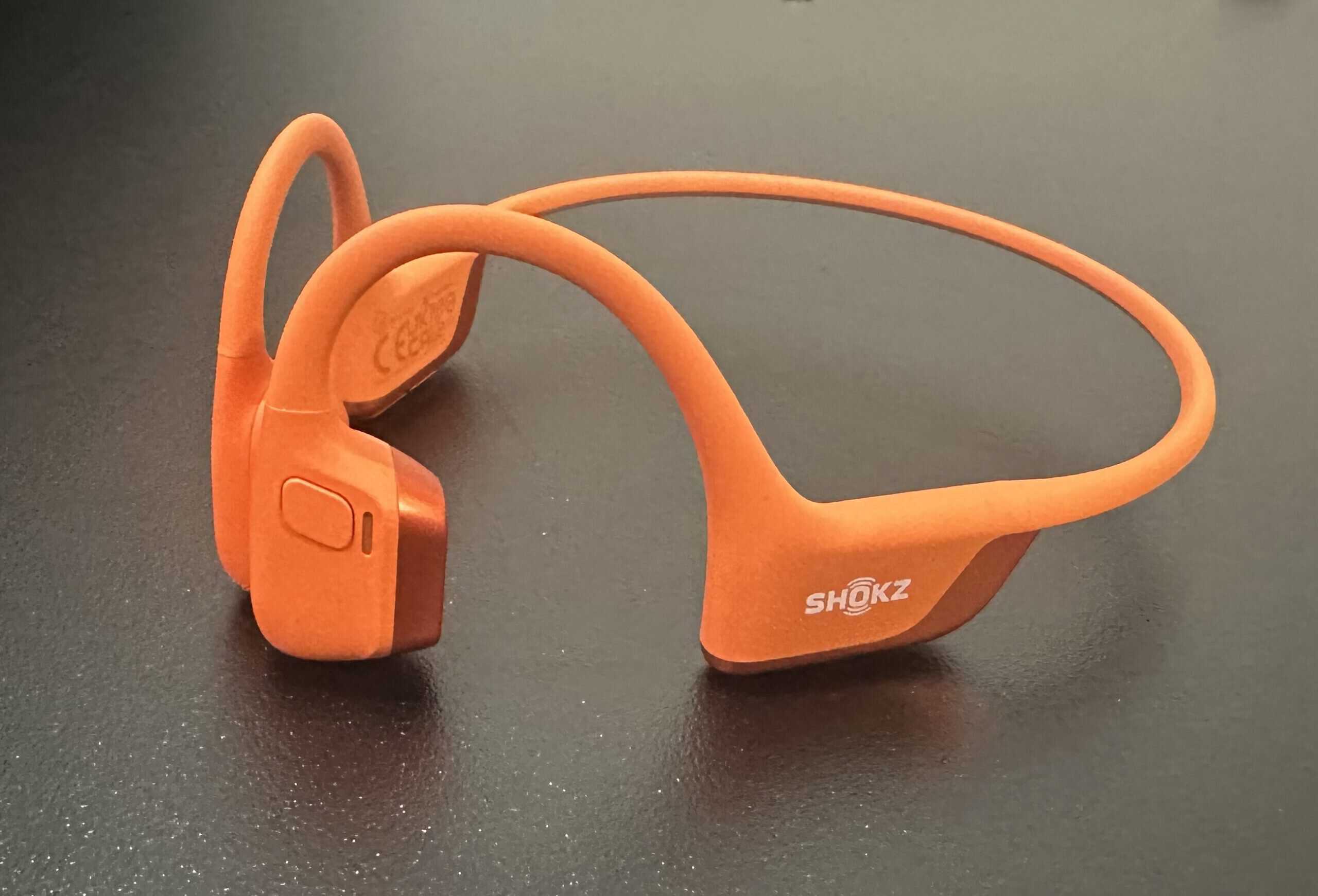 The Workout Headphones