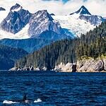 5. Norwegian Fjords