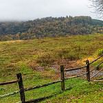 Virginia: Albemarle County