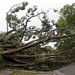 13. Central and Eastern Tornadoes and Hail Storms