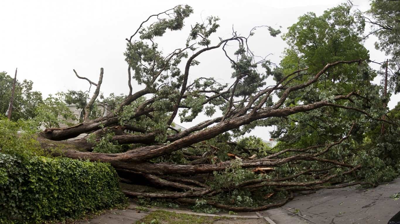 13. Central and Eastern Tornadoes and Hail Storms