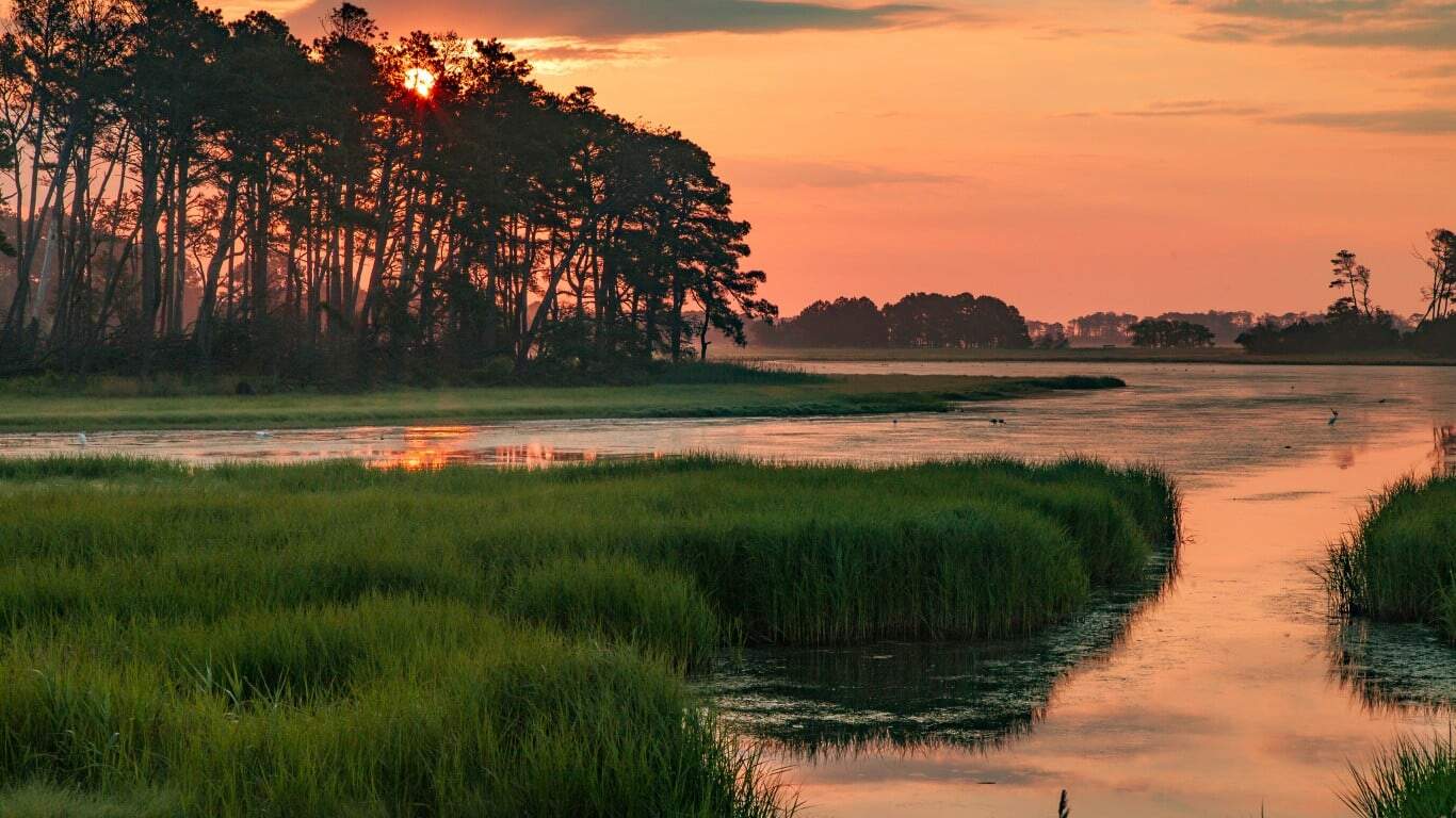 Virginia