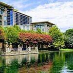 40. Collin County, Texas
