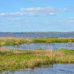 27. Lake County, Florida