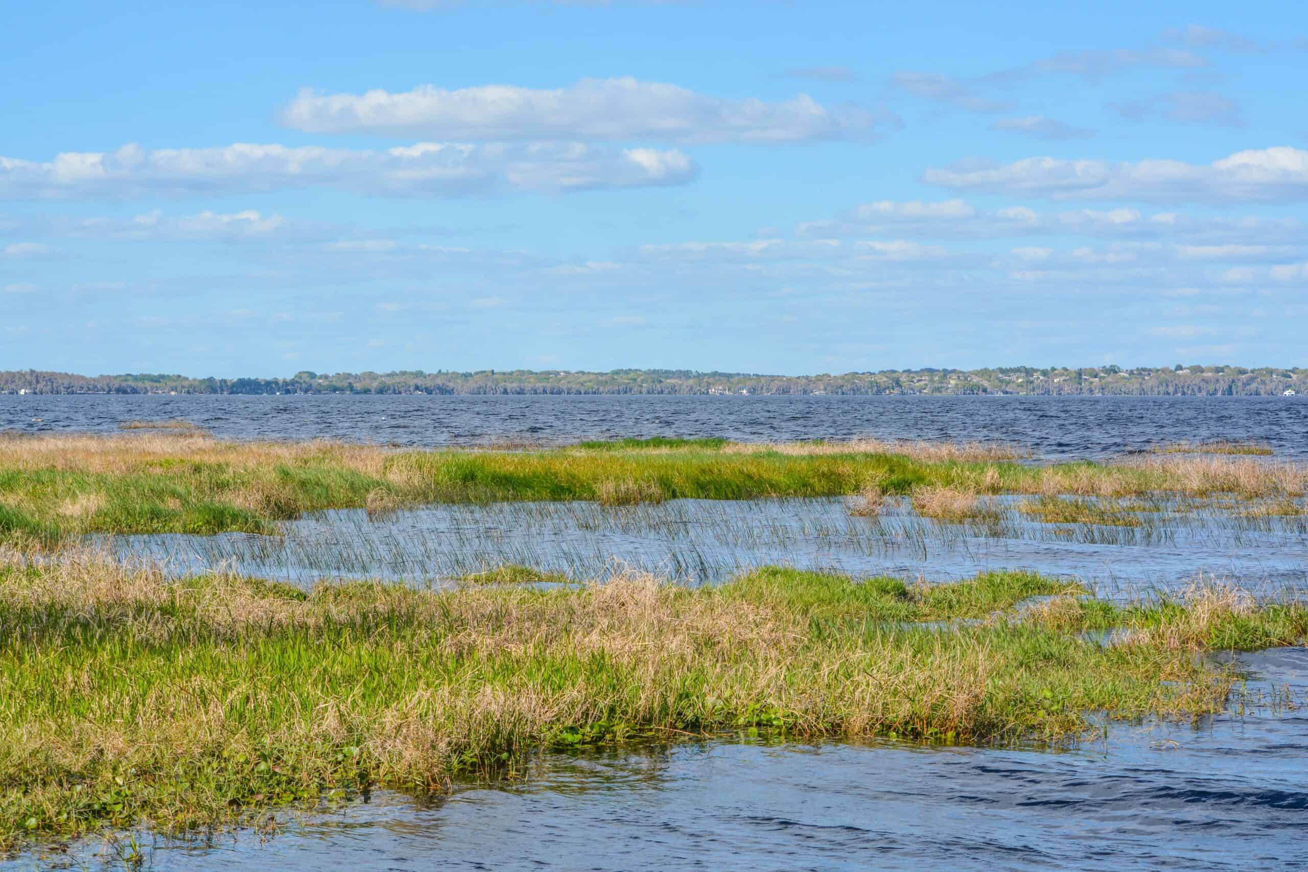 27. Lake County, Florida