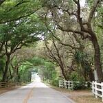 24. Volusia County, Florida