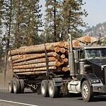 Idaho: Lewis County