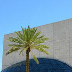 Dali Museum