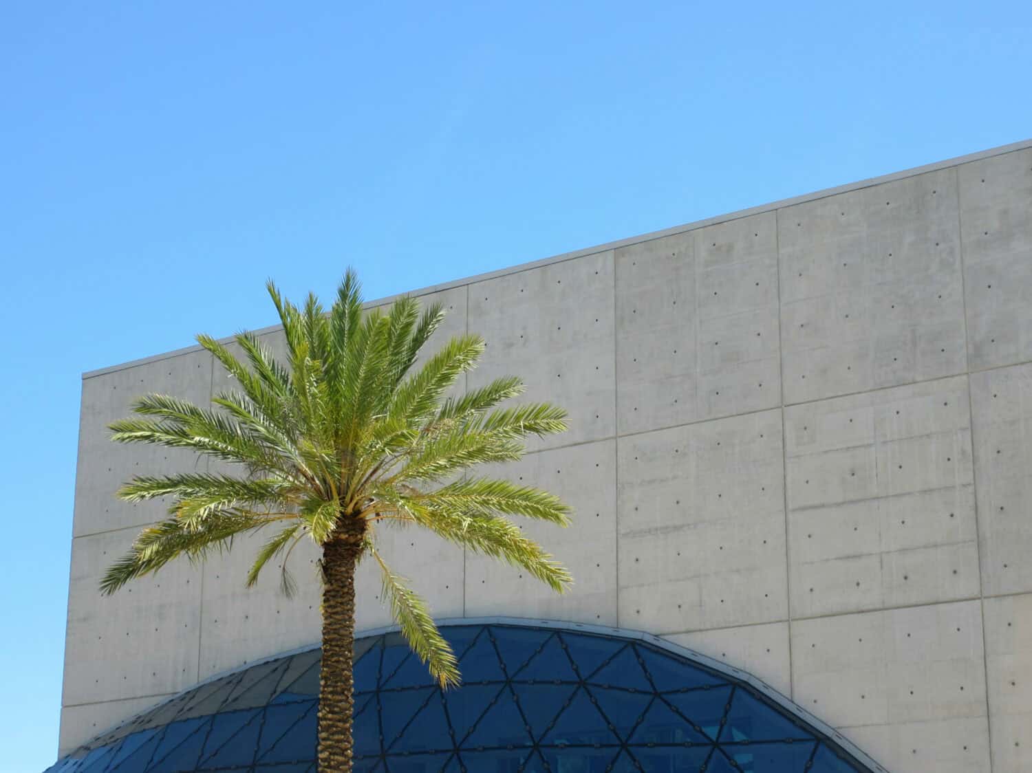 Dali Museum