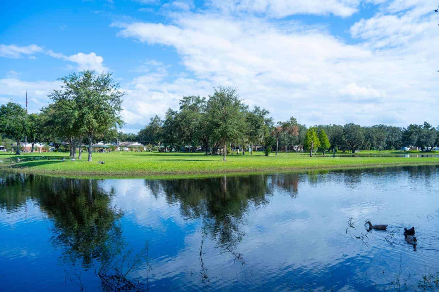 20. Pasco County, Florida