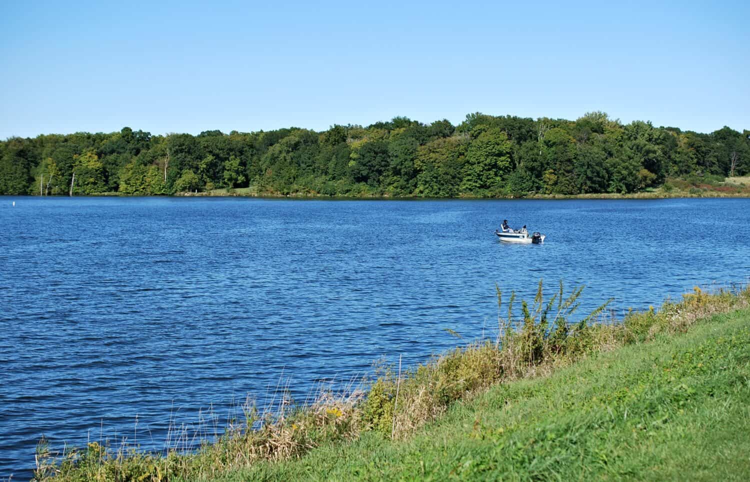 26. Goreville, IL