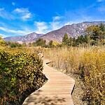 26. San Bernardino County, California