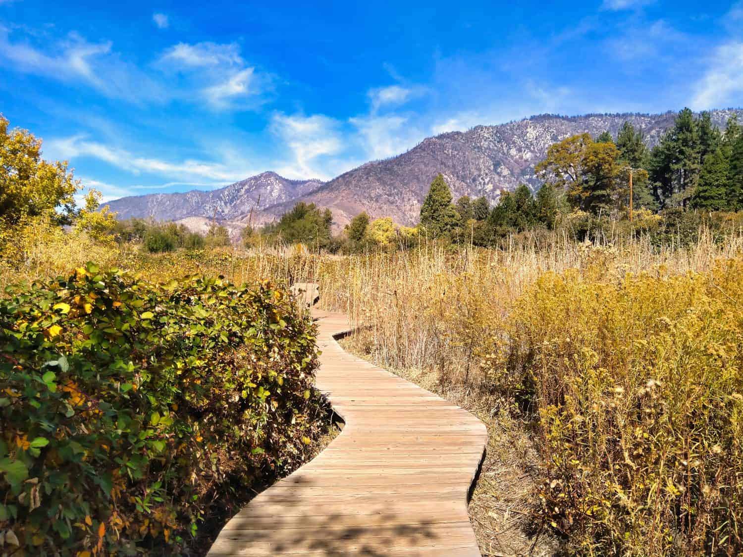 26. San Bernardino County, California