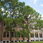 Why Choose Rice University