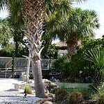 Marco Island Historical Museum