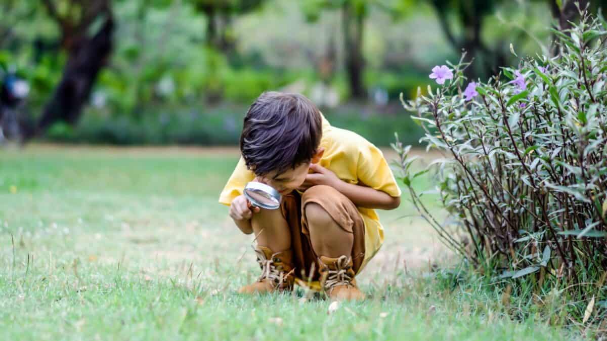 Mixed race little boy exploring the nature with magnifying glass outdoors, children playing in the park with magnifying glass. Curious kid exploring nature by magnifier