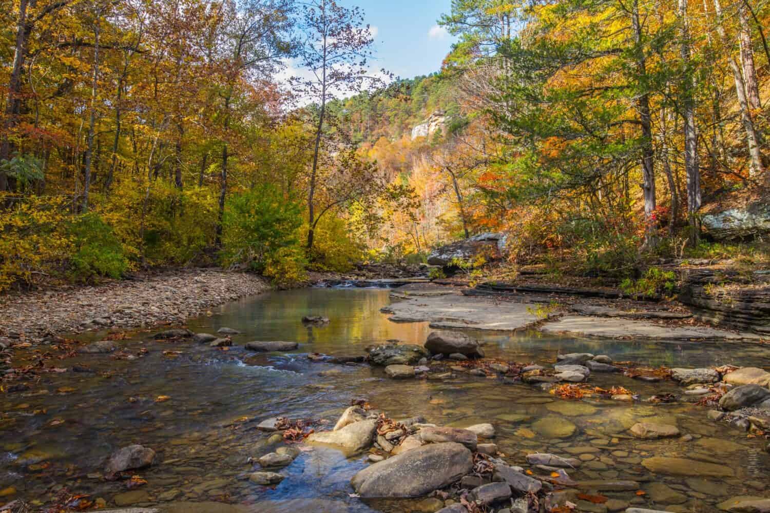 Ozark