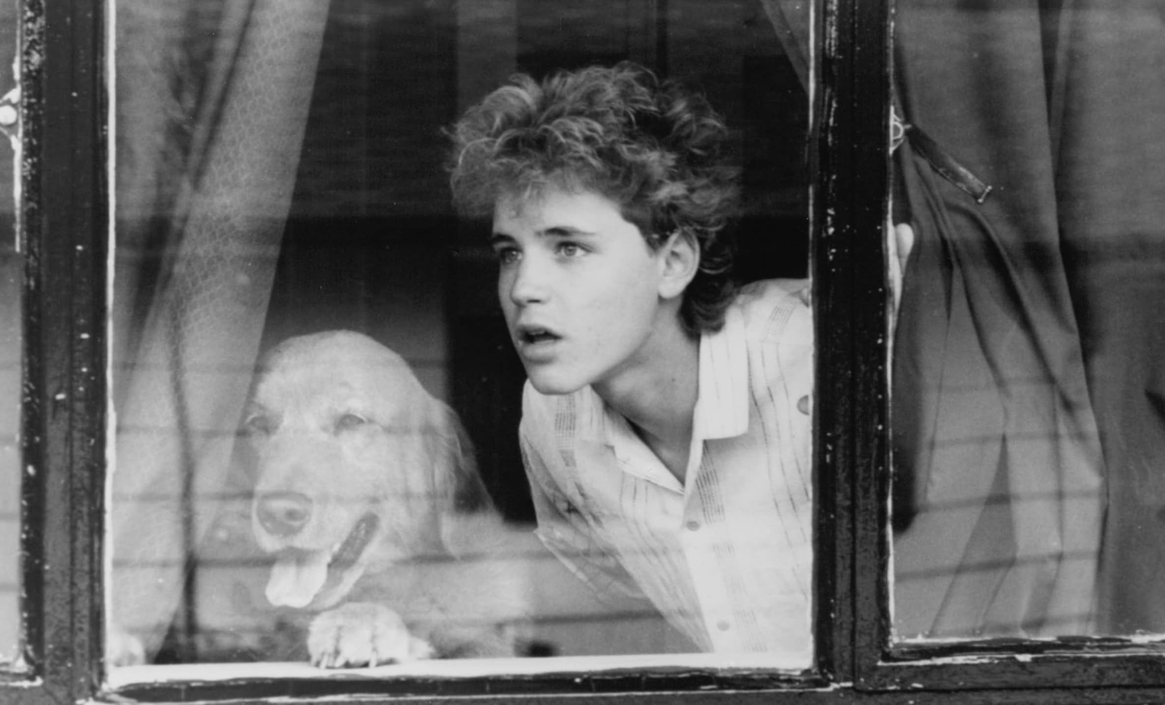 Corey Haim, Actor