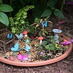 Build a Fairy Garden