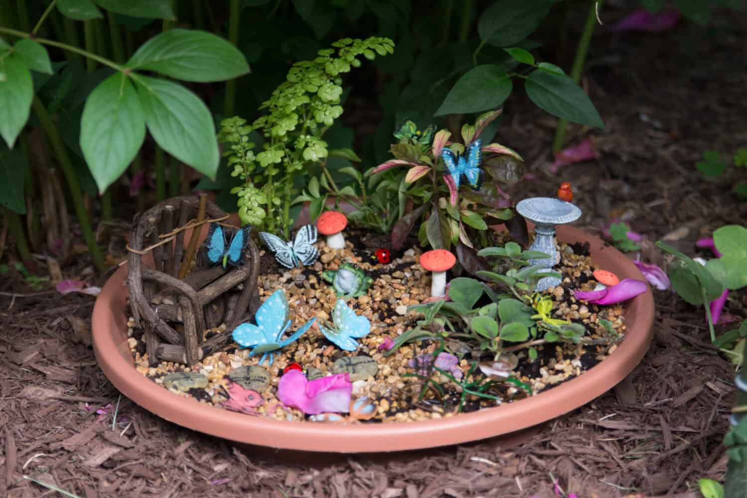 Build a Fairy Garden