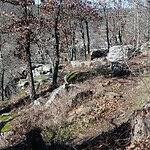 Greenwood