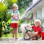 Play in the Sprinkler