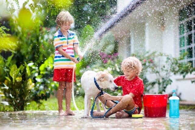 Kids wash dog in summer garden. Water hose and sprinkler fun for kid. Children washing puppy on outdoor patio in blooming backyard. Kids play. Child with pet. Family bathing dog. Animal care.