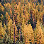 Idaho: Kamiah