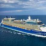10. Celebrity Silhouette