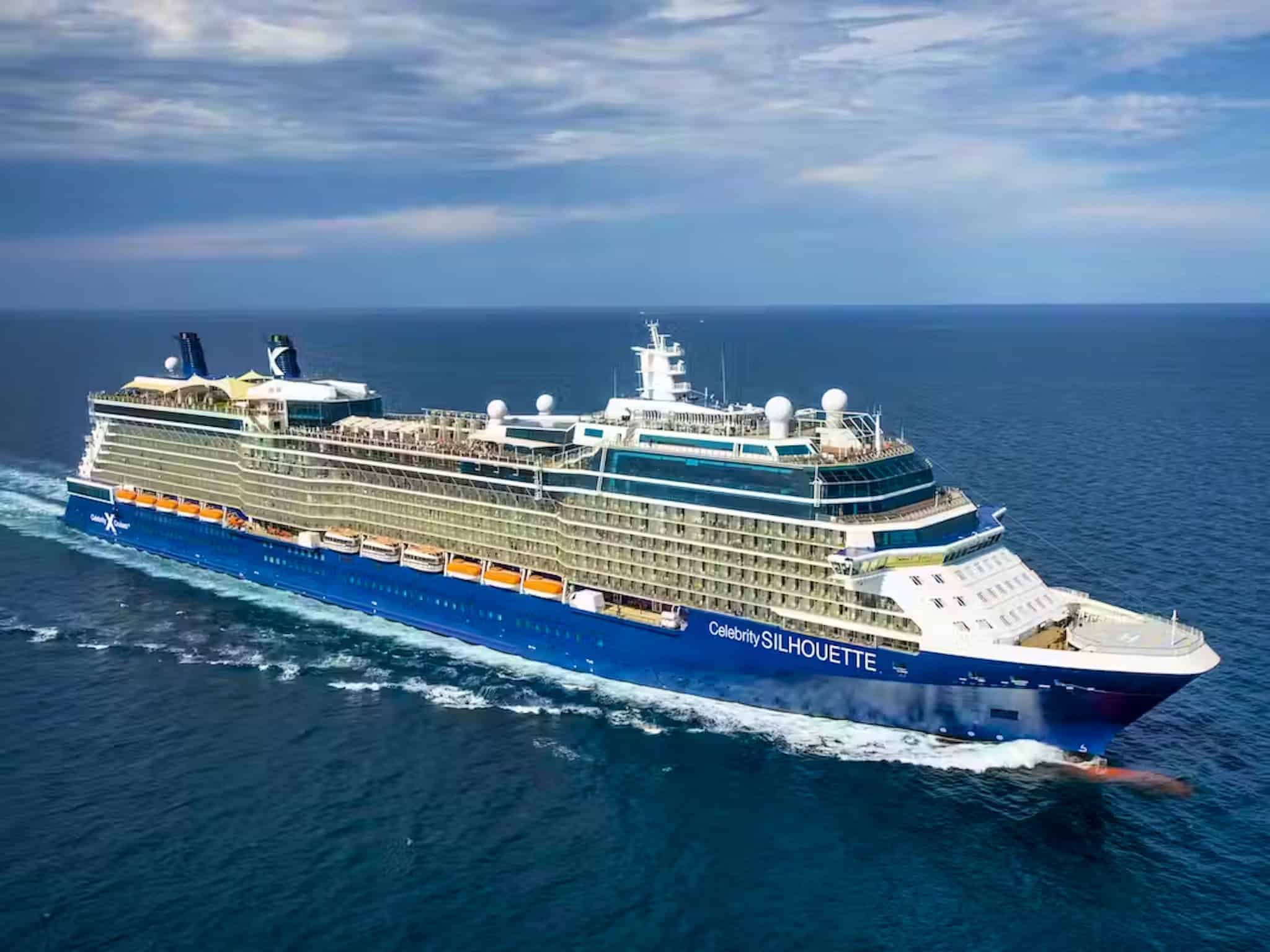 10. Celebrity Silhouette