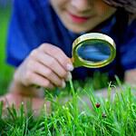 Turning Everyday Moments Into Learning Opportunities
