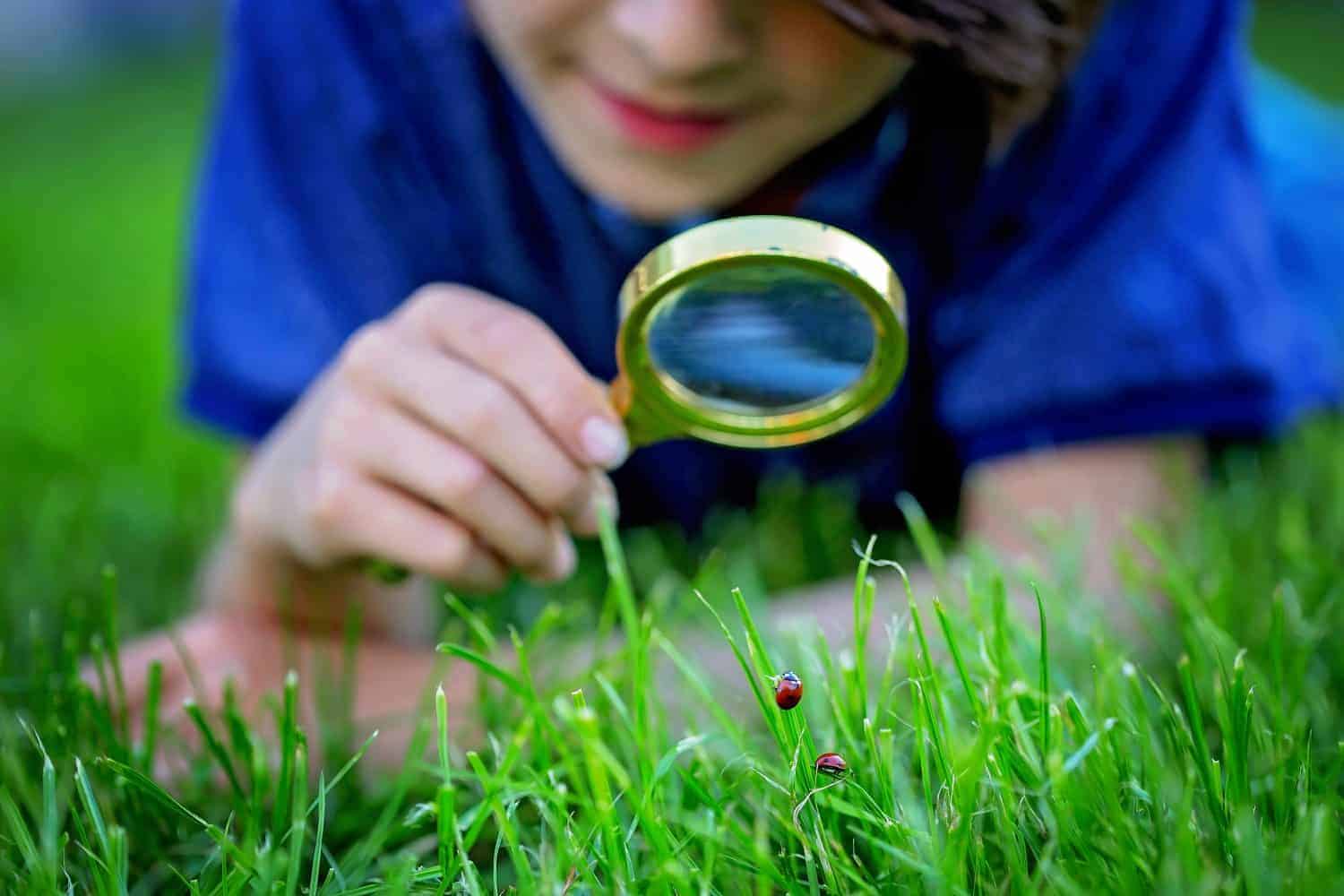 Turning Everyday Moments Into Learning Opportunities